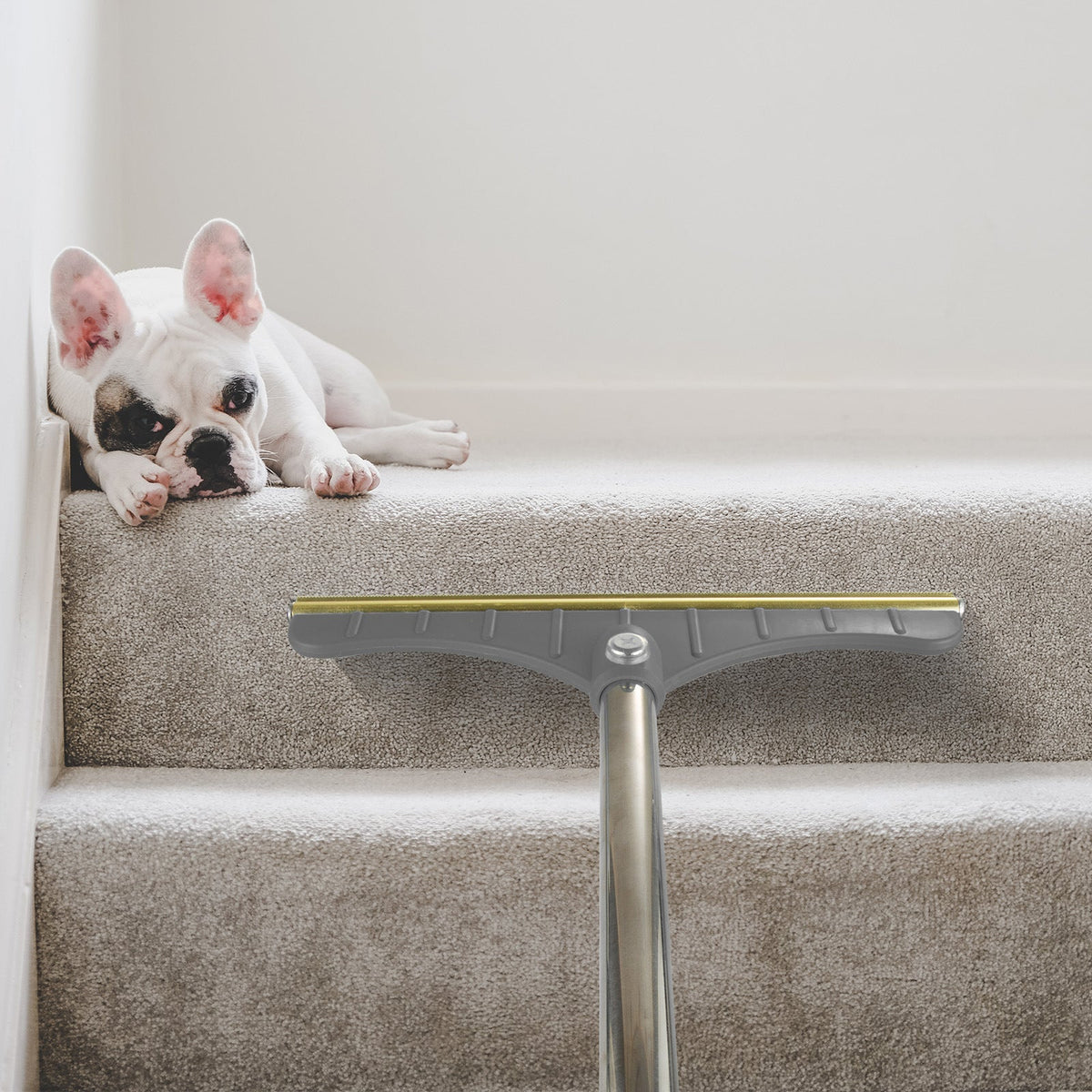 Stand to rake the carpet - no more kneeling or bending